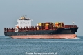 MSC Cornelia HK-220922-1.jpg
