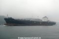 MSC Flaminia (OK-150214-1).jpg