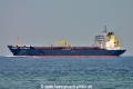 Seadevil (JS-240607-01).jpg