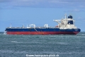 Seapassion (OK-230825-5).jpg