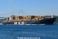 MSC Florentina (OK-050707-3).jpg