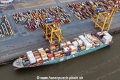MSC Genesis NK-310716-03.jpg