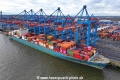 MOL Experience (KB-D160225-01).jpg