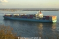 MOL Maas (30401A).jpg
