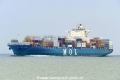 MSC Genesis (KK-130616-1).jpg