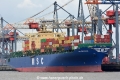 MSC Fortunate (KB-D090414-01).jpg
