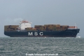 MSC Florentina (MS-151007-03).jpg