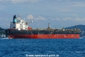 Torex (OK-310824-3).jpg