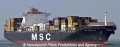 MSC Florentina TS2-230813-1.jpg