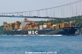 MSC Fiammetta (OK-310508-0).jpg