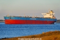 Twin Pollux (OK-240825-2).jpg