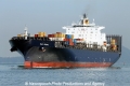 MSC Gemma RV-100512-06.jpg