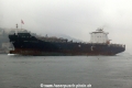 MSC Flaminia (OK-150214-0).jpg