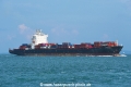 MP the Brown OS-161019-07.jpg