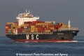 MSC Astrid SH-081212-01.jpg