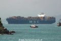 MSC Ilona MS-041004-02.jpg