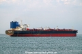 SFL Panther OS-270626-17.jpg