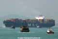MSC Ilona MS-041004-01.jpg