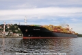 MSC Black Sea 170609-06.jpg