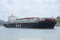 MSC Arushi R. OS-090318-09.jpg