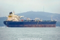 Simba (OK-150823-1).jpg