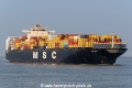 MSC Ines SH-080325-01.jpg