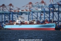 MSC Kingston OS-160918-03.jpg