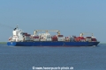 Robin 2 (KK-300622-2).jpg