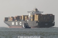 MSC Ines (MS-060407-19).jpg