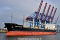Ocean Crown (KB-D120524-01).jpg