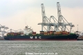 MSC Katyayni (MM-270314-1).jpg
