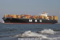 MSC Ines (MS-060407-07).jpg