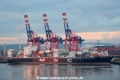MSC Madrid 020515.jpg