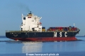 MSC Lisa (KK-020620-1).jpg
