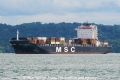 MSC Carmen OS-250811-04.jpg