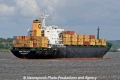MSC Corsica (SW-310707-40).jpg