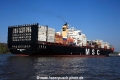 MSC Margarita (JS-090417-21).jpg