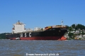 MSC Lisa 010620-03.jpg