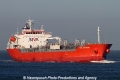 Siva Antwerp SH-221112-01.jpg