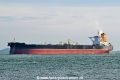 Olympic Trust OS-231025-01.jpg