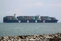 Tayma (MS-090412-19).jpg