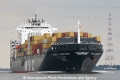 MSC Cordoba (SW-020810-31).jpg
