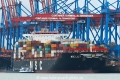 MSC Lily (KB-D010319-01).jpg