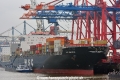 MSC Margarita (KB-D080416-01).jpg