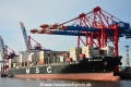 MSC Madrid (KB-D120714-02).jpg