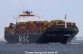 MSC Laura (290403-04).jpg