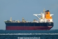Olympic Trust OS-231025-12.jpg