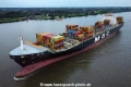 MSC Maureen TL-220823-3.jpg
