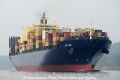 MSC Mira 131008-02.jpg