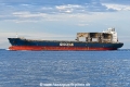 Star Kinn JG-100626-2.jpg